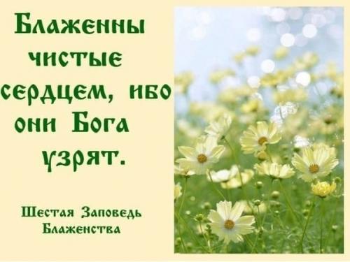 Мир всем нам! 08