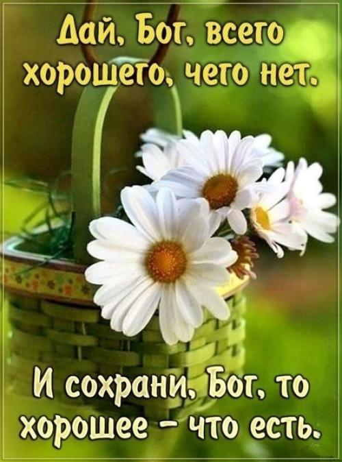 Мир всем нам! 09