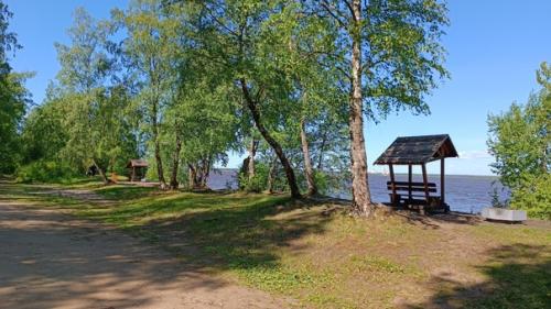 Одна из самых добрых профессий - охранять лес. 03