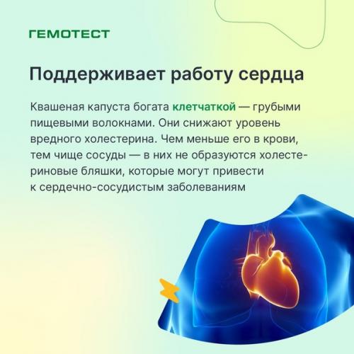 Укрепляет Здоровье и Поднимает Настроение, - так о квашеной капусте в 1828 году писал коллежский советник доктор медицины Отто фон Гун. 04