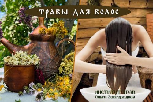 Волосы. Волосы это сила, информация, память, связь с космосом. Волосы. Волосы это сила, информация, память, связь с космосом.