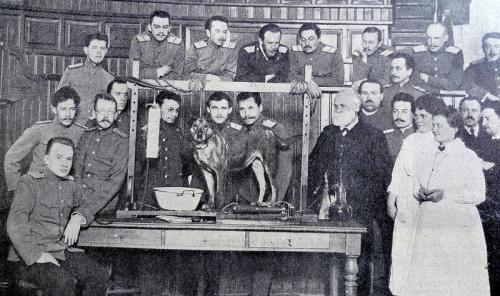 Гениальная методика исследования: открытия Ивана Петровича Павлова в лекции 03