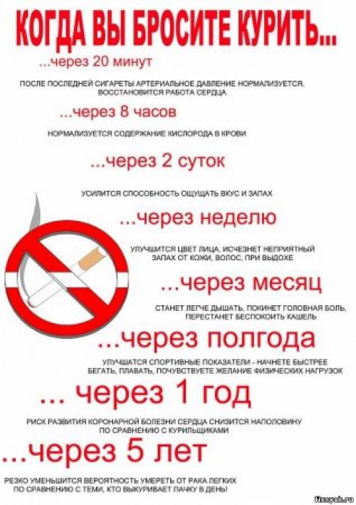 Как избегать вредных привычек, влияющих на здоровье. Вредные привычки и их влияние на здоровье человека