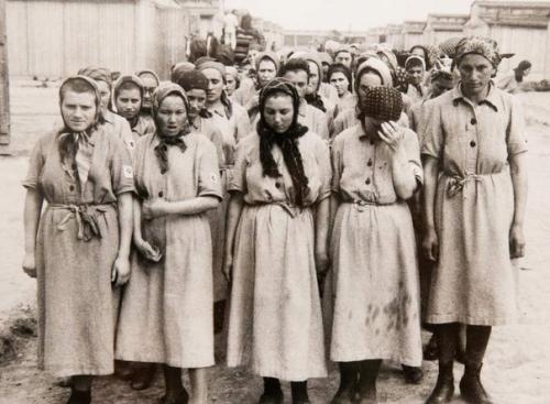 Рапорт польской акушерки из освенцима. Рапорт польской акушерки из освенцима.