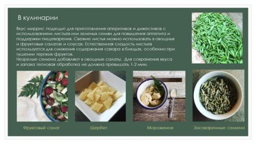 Растения в руках. 07