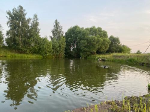 Дайджест. Неделя, за исключением субботы, спокойная, но черт побери, чтобы я вспомнила хоть что-то более конкретное, после этой субботы. 08