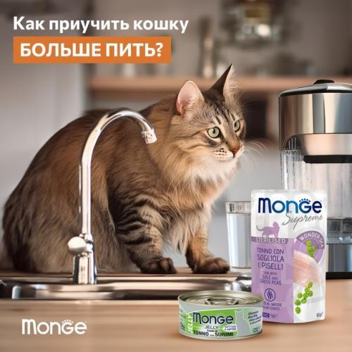 Кошки полны загадок, и одна из них - как приучить питомца больше пить? Кошки полны загадок, и одна из них - как приучить питомца больше пить?
