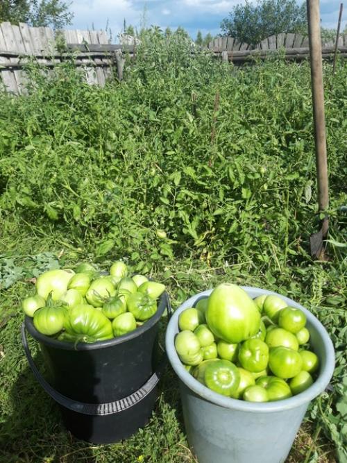 Мы заморачиваемся. Мы давно понимаем, что многое из продуктов питания не полезно. 02 Мы заморачиваемся. Мы давно понимаем, что многое из продуктов питания не полезно. 02