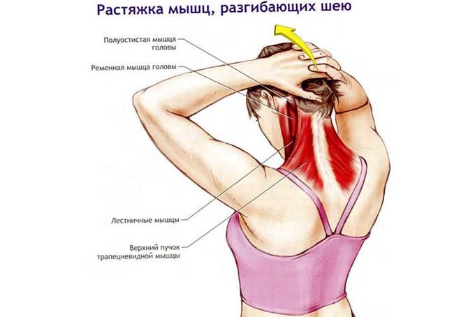 Растяжка: 16 лучших упражнений