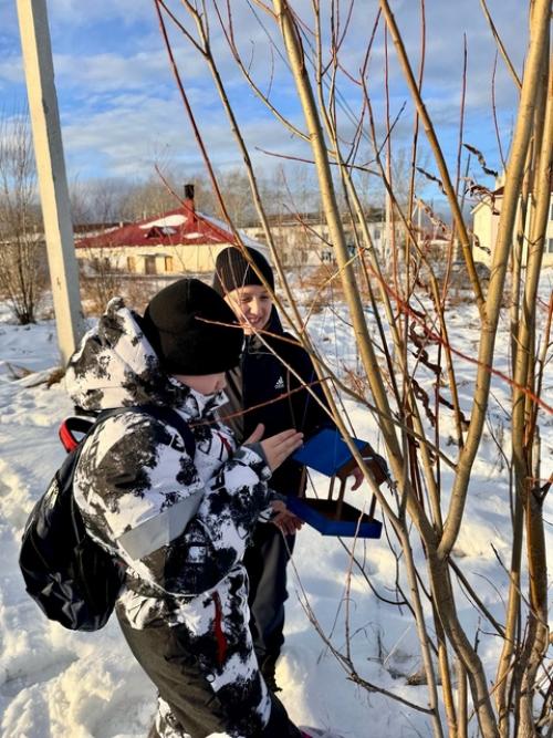 5 б класс принял участие в акции Кормушка. 06