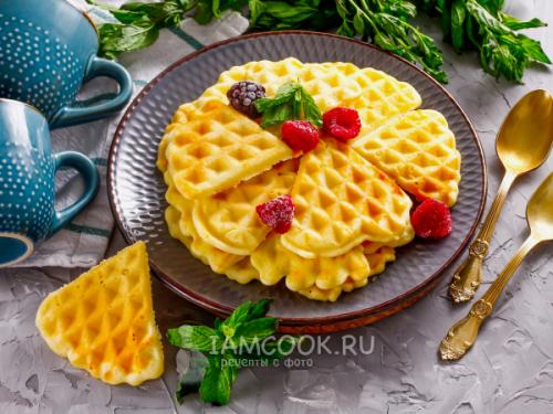 Можно ли использовать растительное масло вместо сливочного для приготовления вафель в стиле ПП. Вафли на растительном масле