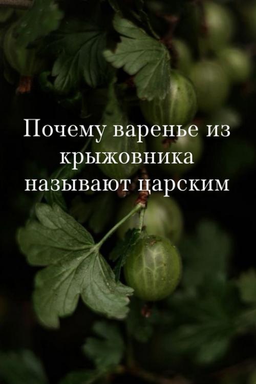 Почему варенье из крыжовника называют царским. 01