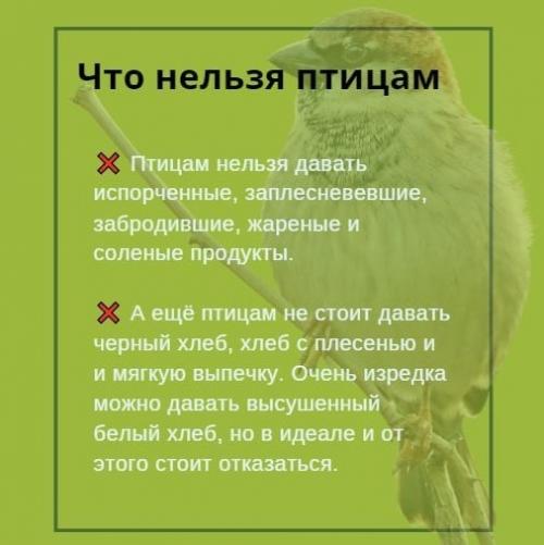 Уже наступила весна, но ещё возможны морозы и снегопады. 01