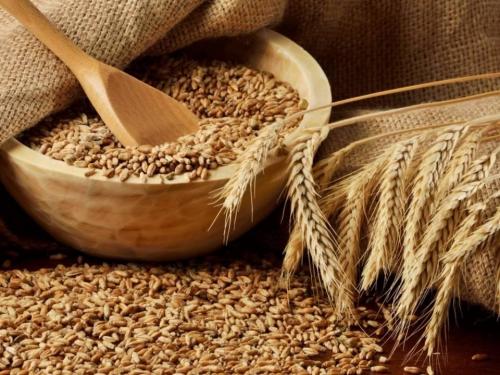 Какие продукты питания содержат больше всего белка 04 Какие продукты питания содержат больше всего белка 04