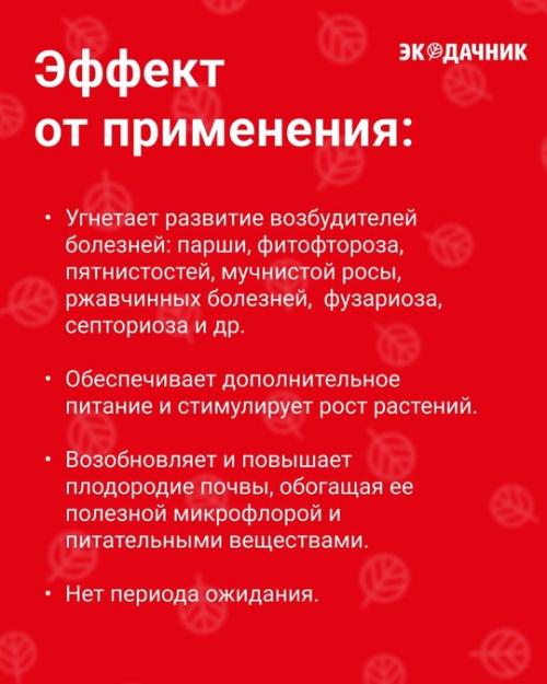 Биозащита от болезней - базовый биопрепарат для защиты сада, огорода и комнатных растений от болезней. 02