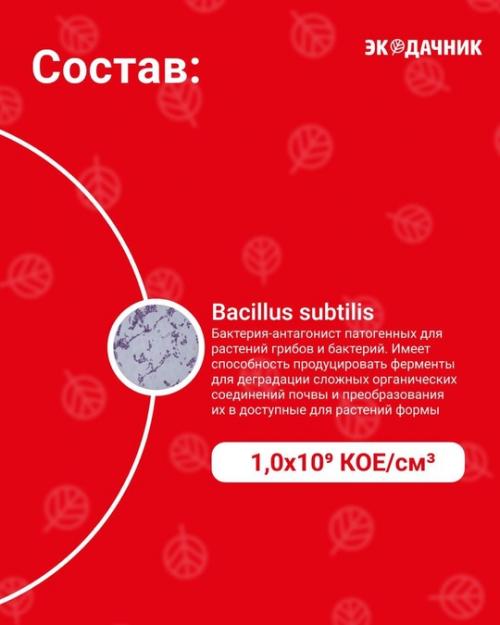 Биозащита от болезней - базовый биопрепарат для защиты сада, огорода и комнатных растений от болезней. 03