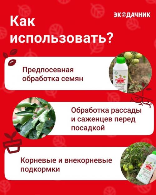 Биозащита от болезней - базовый биопрепарат для защиты сада, огорода и комнатных растений от болезней. 06