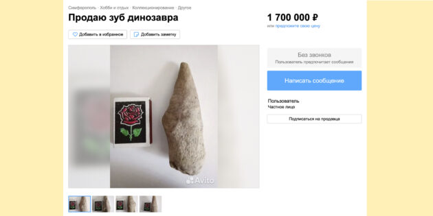 «Зуб динозавра»